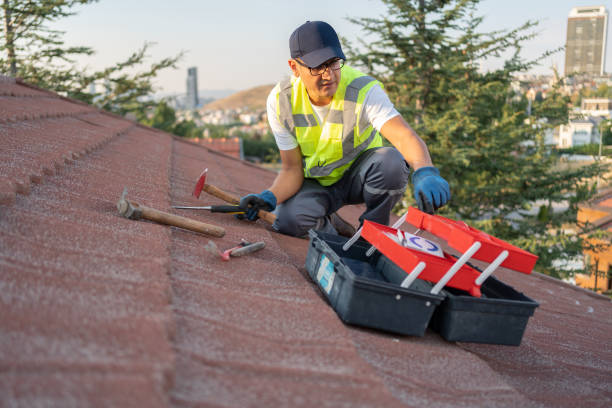 Best Historical Building Siding Restoration  in Olympia Heights, FL